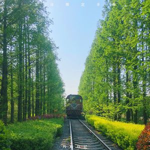 少司缘被拖到繁衍的原因
